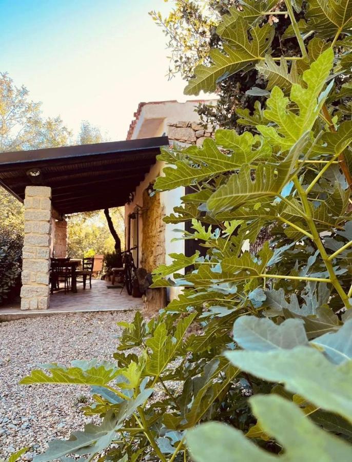 פוני Ovostolai Cottage מראה חיצוני תמונה