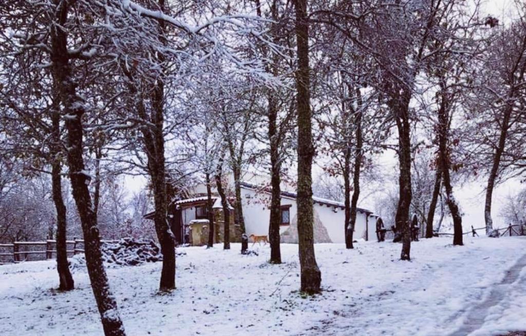 פוני Ovostolai Cottage מראה חיצוני תמונה