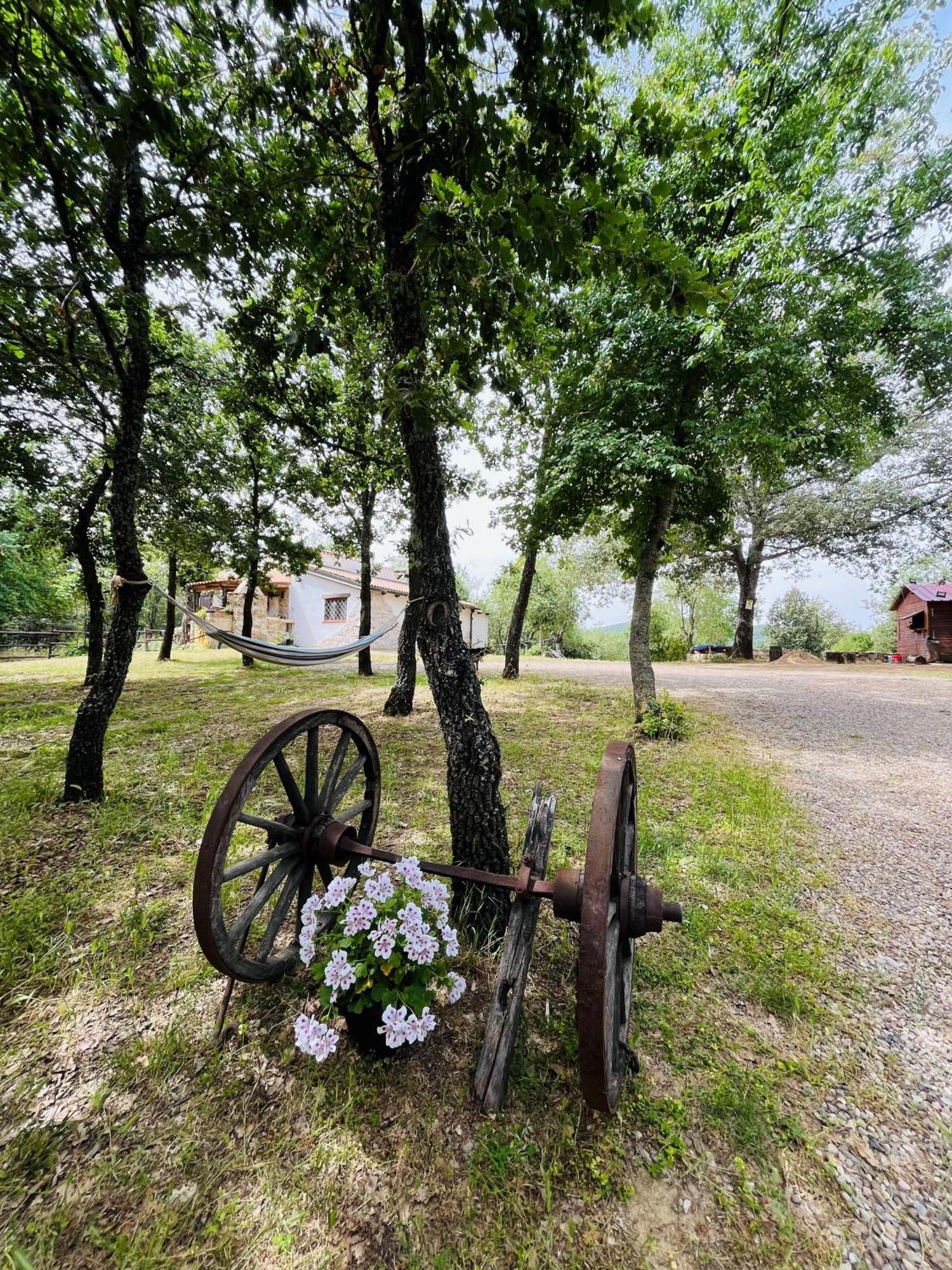פוני Ovostolai Cottage מראה חיצוני תמונה